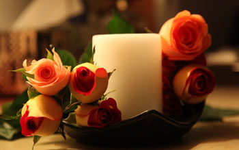 zakazivanje sahrane pouckovic